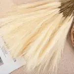 5Pcs Pampas Kunstmatige Bloemen Boeket Kunstbloemen Boeket Pluizige Diy Nep Bloem Riet Voor Wedding Thuis Decoratie.jpg 640x640 3ff9615d b2ba 43d5 be91 f3941c4a0bc2