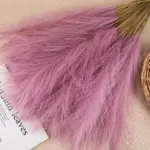 5Pcs Pampas Kunstmatige Bloemen Boeket Kunstbloemen Boeket Pluizige Diy Nep Bloem Riet Voor Wedding Thuis Decoratie.jpg 640x640 5dedf369 ce95 4bbf 9d48 7a527225ce13