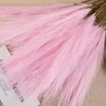 5Pcs Pampas Kunstmatige Bloemen Boeket Kunstbloemen Boeket Pluizige Diy Nep Bloem Riet Voor Wedding Thuis Decoratie.jpg 640x640 d386abed 3c69 43c6 b7a2 5bdeedbd5ef2