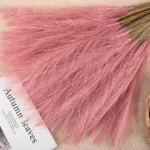 5Pcs Pampas Kunstmatige Bloemen Boeket Kunstbloemen Boeket Pluizige Diy Nep Bloem Riet Voor Wedding Thuis Decoratie.jpg 640x640 d75cdaaf 7530 41b6 966a c1cb43ac99c0