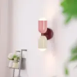 5 54922503 c941 40e0 b9d1 ca6ab12477d0