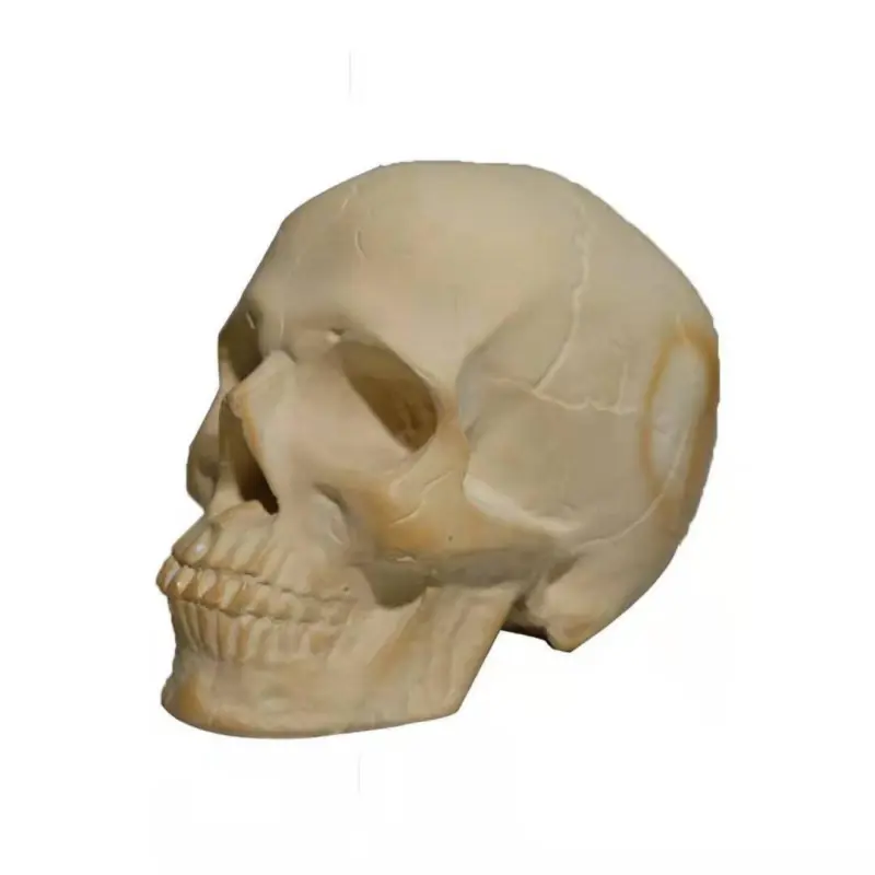 679d44c4 086d 459e 9ab5 c8fa02b23104