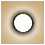 6W Modern LED Moisture Proof Wall Lamp Bathroom Porch Ceiling Sconce Lamp Indoor Outdoor Surface Mounted c11b1feb 6f1d 4138 903c ce90b9645fb3