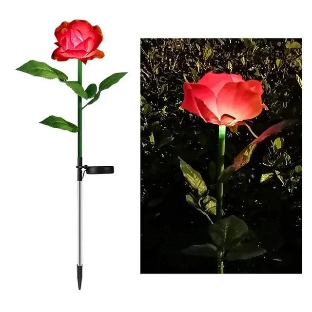 7 Hoofd Solar Led Saussurea Rose Bloem Gazon Licht Energiebesparing Gazon Lampen Buiten Tuinpad Tuin Decoratie.jpg 640x640 58f75ee2 Adba 4b85 B4bf 03e16b5a1f88