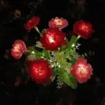 7 Hoofd Solar Led Saussurea Rose Bloem Gazon Licht Energiebesparing Gazon Lampen Buiten Tuinpad Tuin Decoratie.jpg 640x640 7f629c3d 2359 45e1 8cfb d5b50fbf428f