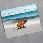 71DxfqzdxqL._AC_SL1500 71DxfqzdxqL. AC SL1500
