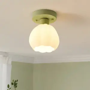 Homeko Pumpkin Creative Corridor Aisle Ceiling Light