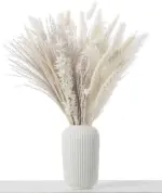80Pcs Natural Dried Flowers Pampas Grass Bouquet Boho Home Decor tag1