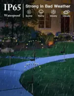 81VWPQpneFL._AC_SL1500 81VWPQpneFL. AC SL1500