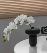 8 469193b1 8b1b 4149 b88f 23528f1fe102