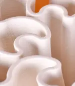 8 d8e21544 0c40 49a3 aa27 7f0413380d8b