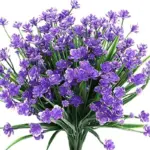996c0314d3c9f4f6a92e228ed4c8e264 221fa27d 6d16 42e2 af4d 84d85d4dead9