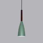 9 1 2 Wide Aluminum Wood Pendant Light tag1