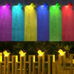 9 c163a299 900b 4b3b 9bdc 23468995513b