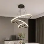 ARISHALIGHT Ceiling Lamp Modern and Stylish Design tag1