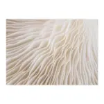 Abstract Beige Mood tag1
