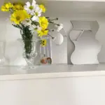 Abstract Mirror tag1