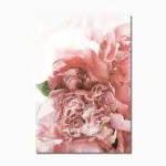 Abstract_Pink_Flower_-_-_tag1_-4123393 Abstract Pink Flower tag1