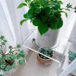 Acrylic Transparent Glass Multi Purpose Side Table