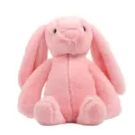 Adorable Lop Eared Rabbit Soft Toy tag1