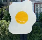 Aesthetic Bedroom Non Slip Fluffy Egg Rug