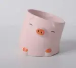 Aesthetic Ceramic Pig Duck Planter Pot