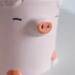 Aesthetic Ceramic Pig Duck Planter Pot