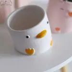 Aesthetic Ceramic Pig Duck Planter Pot