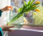 Aesthetic Flower Glass Basket Vase Fish Tank