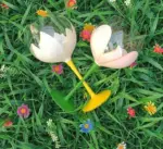 Aesthetic Flower Tulip Wine Glass
