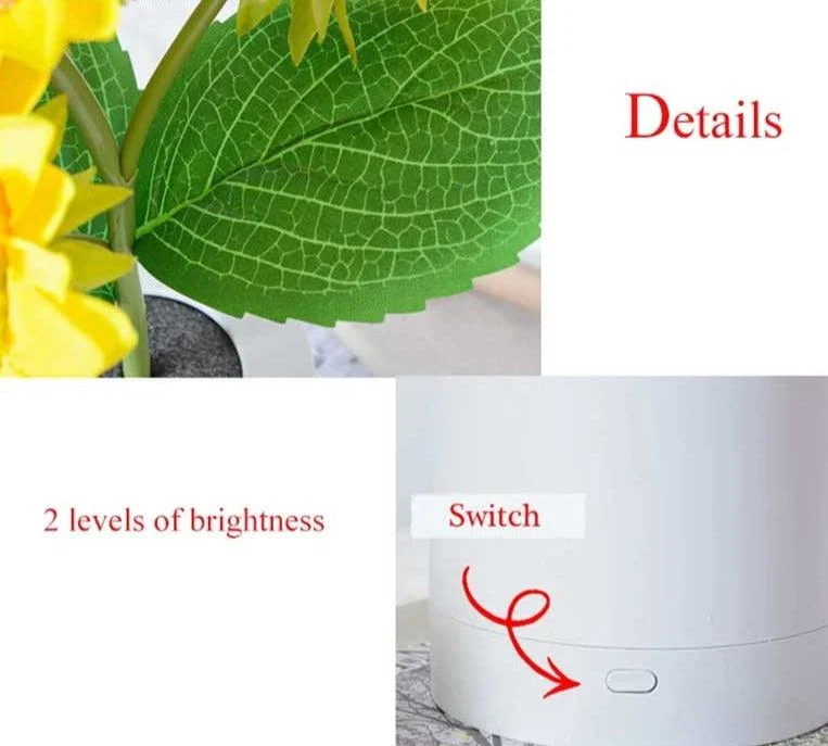 Aesthetic Rechargeable Sunflower Night Light -