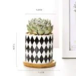 Aiva Nordic Geometric Succulent Planter tag1