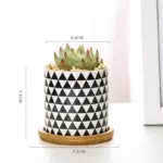 Aiva Nordic Geometric Succulent Planter tag1
