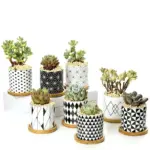 Aiva Nordic Geometric Succulent Planter tag1