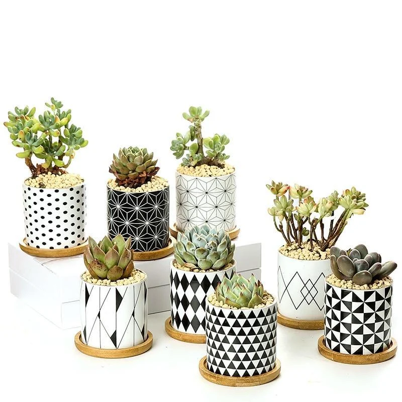 Aiva - Nordic Geometric Succulent Planter -  - #tag1#