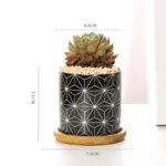 Aiva Nordic Geometric Succulent Planter tag1