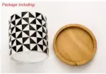Aiva Nordic Geometric Succulent Planter tag1
