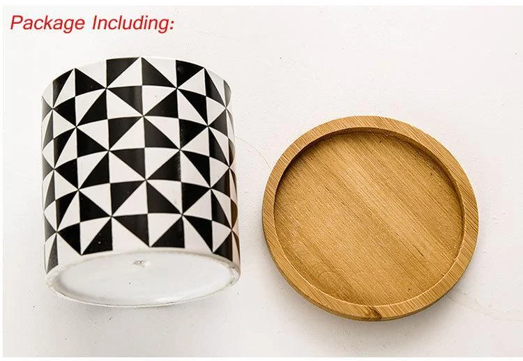 Aiva - Nordic Geometric Succulent Planter -  - #tag1#