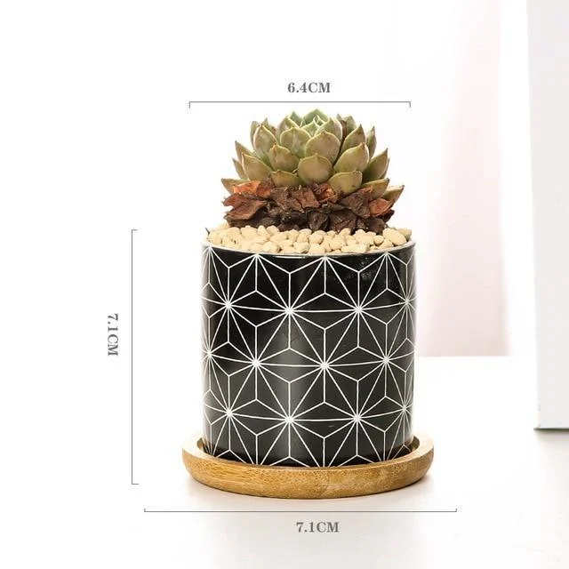 Aiva - Nordic Geometric Succulent Planter -  - #tag1#