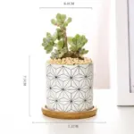 Aiva Nordic Geometric Succulent Planter tag1