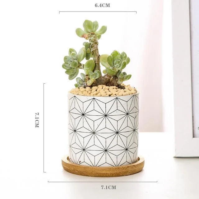 Aiva - Nordic Geometric Succulent Planter -  - #tag1#