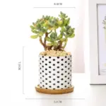 Aiva Nordic Geometric Succulent Planter tag1