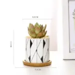Aiva Nordic Geometric Succulent Planter tag1