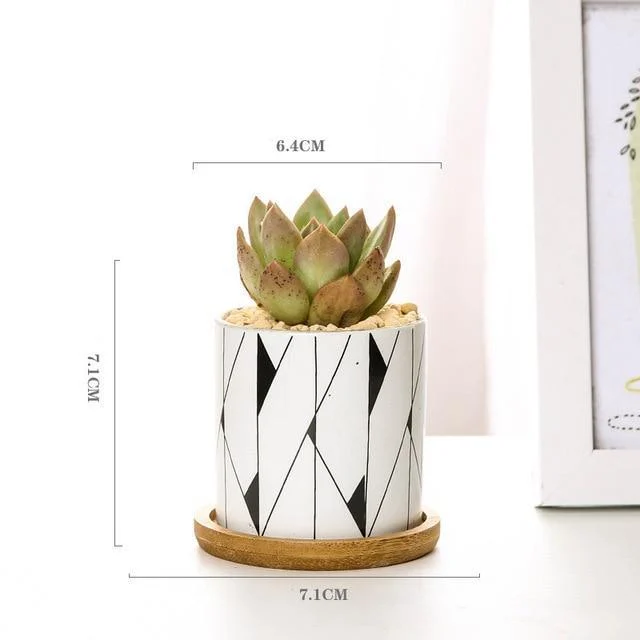 Aiva - Nordic Geometric Succulent Planter -  - #tag1#