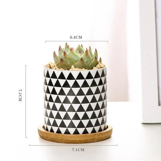Aiva - Nordic Geometric Succulent Planter -  - #tag1#