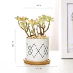 Aiva Nordic Geometric Succulent Planter tag1