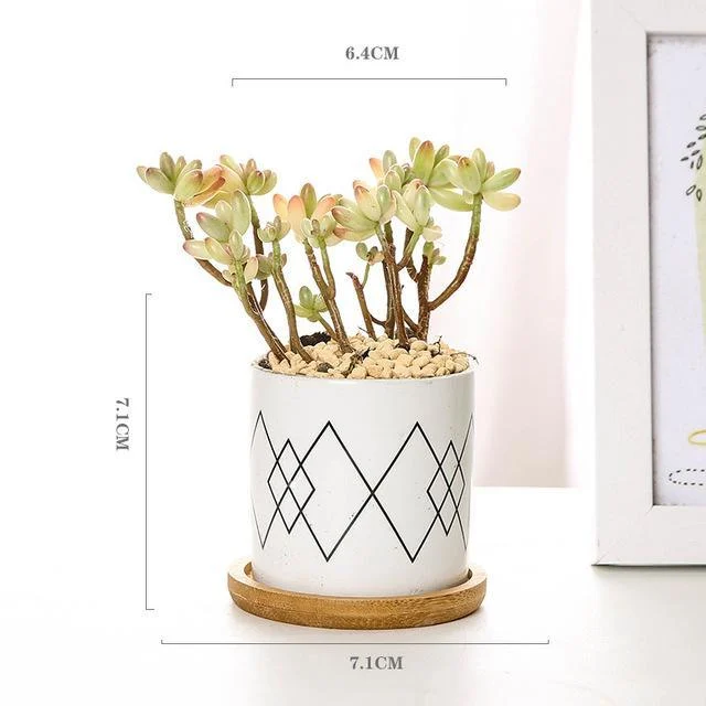 Aiva - Nordic Geometric Succulent Planter -  - #tag1#
