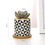 Aiva Nordic Geometric Succulent Planter tag1