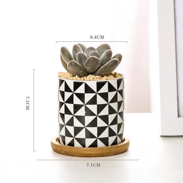 Aiva - Nordic Geometric Succulent Planter -  - #tag1#