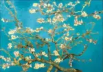 Almond_Blossom_-_-_tag1_-4129229 Almond Blossom tag1